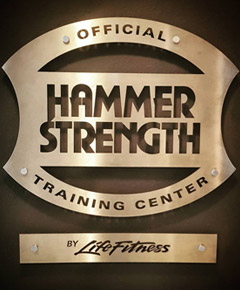 HammerStrength